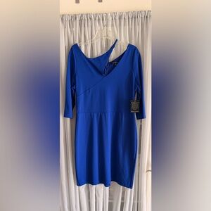 Boston Proper Cobalt Blue Long Sleeve Dress Large New